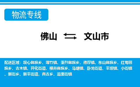 佛山到文山市物流專線_佛山至文山市物流公司_佛山到文山市貨運(yùn)專線