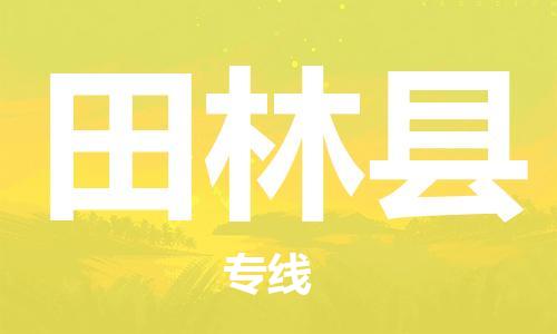 廣州到田林縣物流公司|廣州至田林縣貨運(yùn)專線