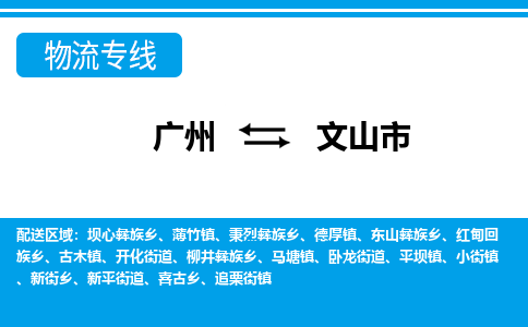 廣州到文山市物流公司|廣州至文山市貨運(yùn)專線
